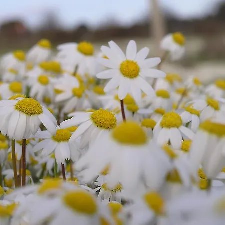 Su Baione Hotel Abbasanta