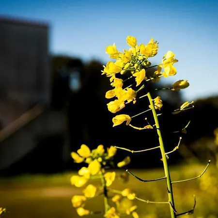 Hotel Su Baione Abbasanta