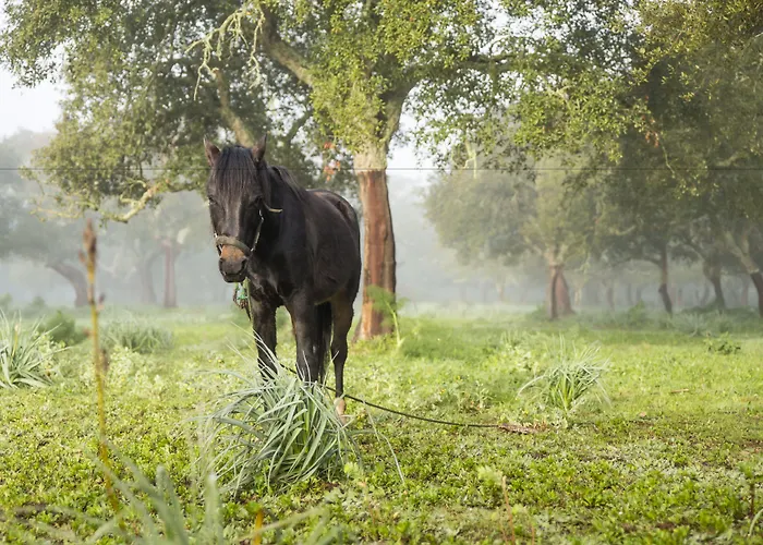 Szálloda Su Baione 3*