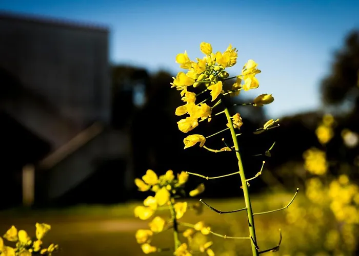 Szálloda Su Baione Abbasanta